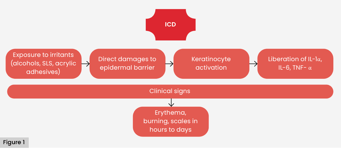 Figure 1. Pathophysiological pathways of irritant contact dermatitis (ICD) in perilesional skin. SLS = sodium lauryl sulfate